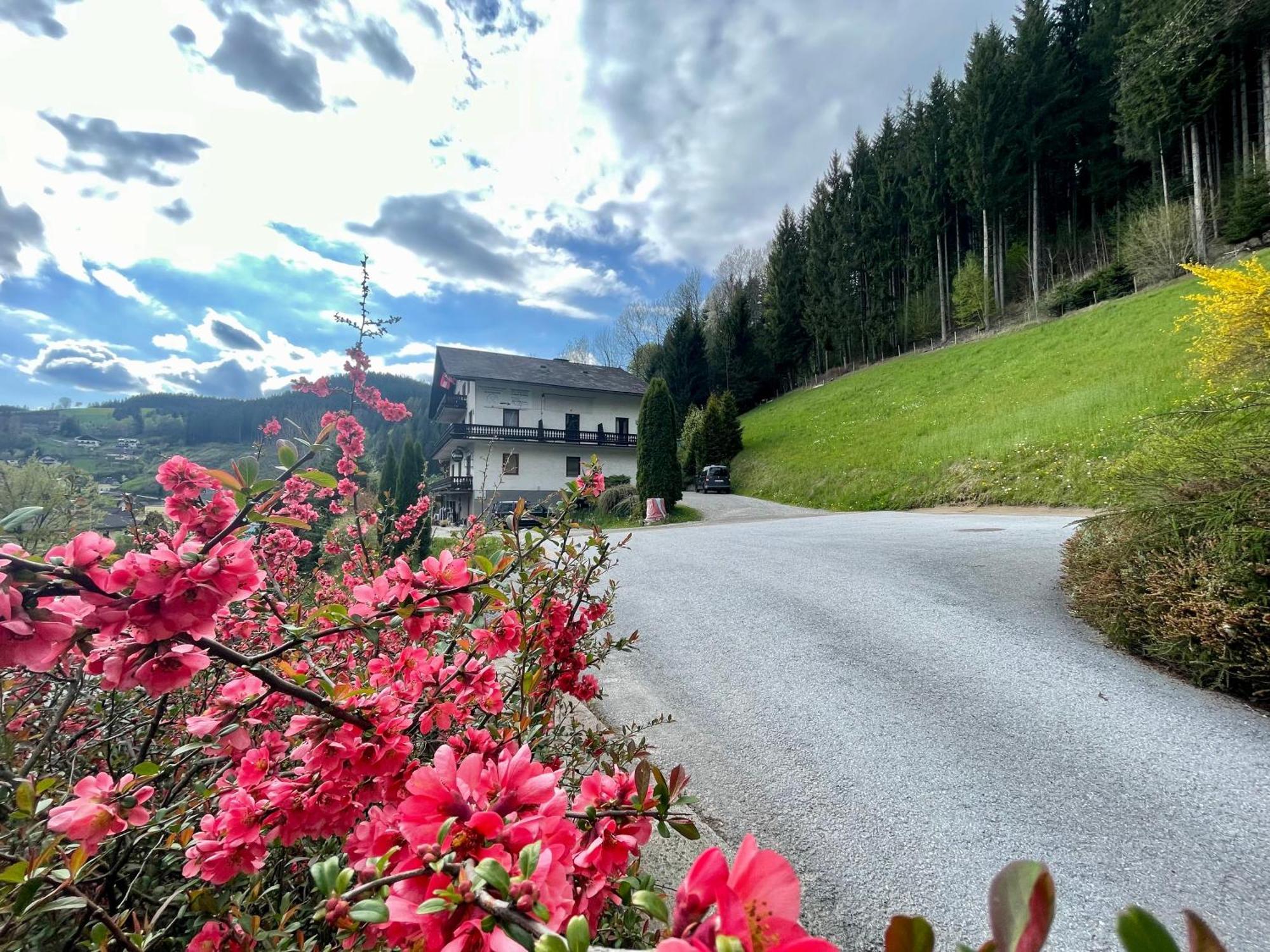Alpenpension Gasthof Ratten Eksteriør billede